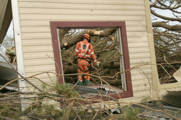Best Commercial Tree Services  in Woodbridge, VA